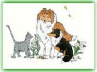 Trillium Pet Care