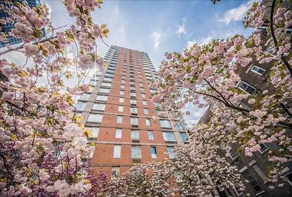 Specializing in gorgeous high rise rental buildings.