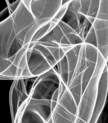 Abstract IR photograph Tangle Light