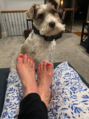 They have even withstood a week of barefoot walking the beach. (that's Winston )