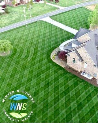 WNS Property Maintenance