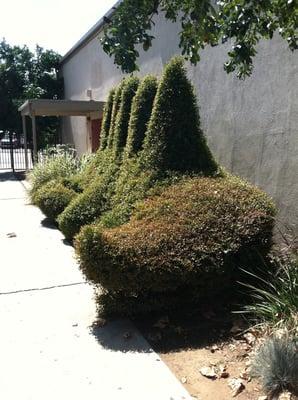 Orangewood High School