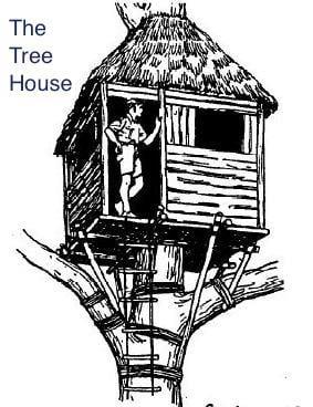 The Tree House