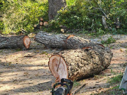 Ez Does It landscape