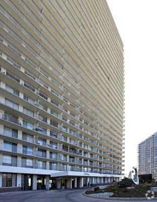 Community Physical Therapists