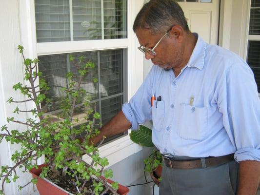 Evergreen Sprinklers and Irrigation