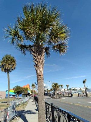 J&G Maintance Unlimited