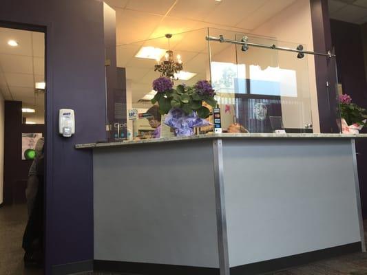 Ross Bederman, DDS
