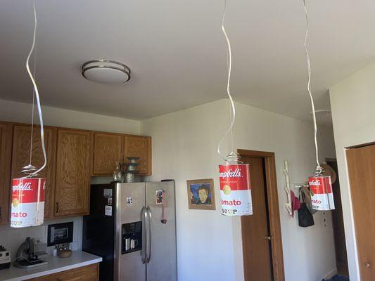 Canned Light- rewired and finally working again, thank you, George!