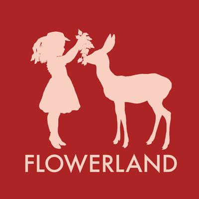 Premium Flower Arrangements Next Day Delivery Order now: www.flowerlandpdx.com