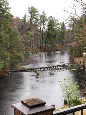 Near Indian Cabin Rd. 4610 Pleasant Mills Rd. Maskos