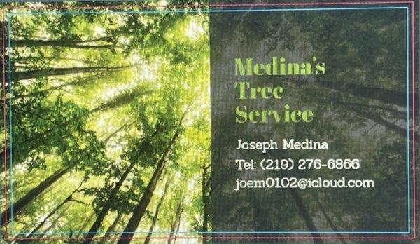 Medina’s Tree Service