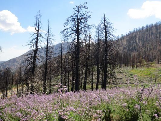 Throop and Hawkins hike