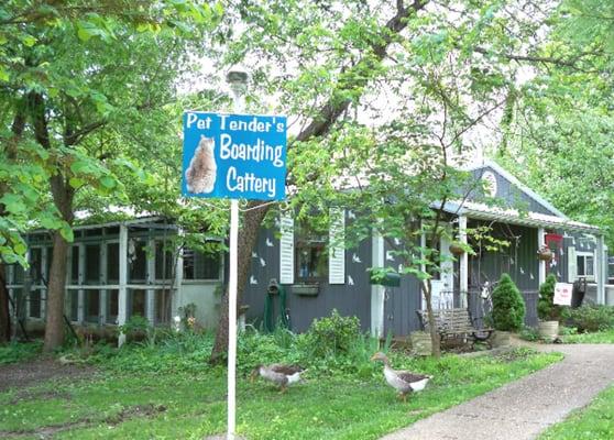 Pet Tender's Boarding Kennel