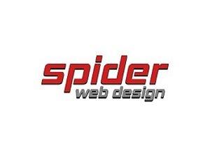 Spider Web Design