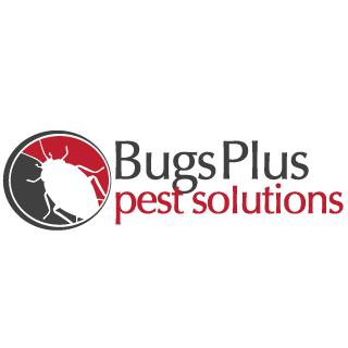 Bugs Plus Pest Solutions