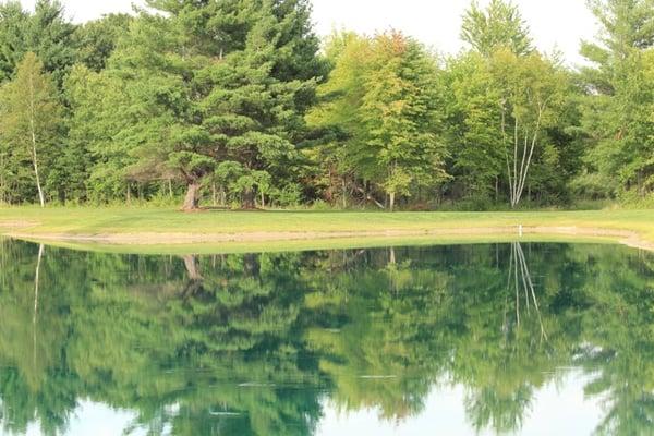 Hedrich Excavating Inc