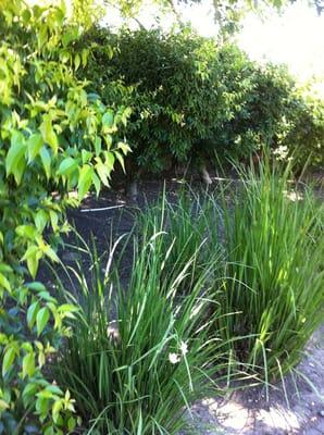 Rocker Enterprise & Consulting