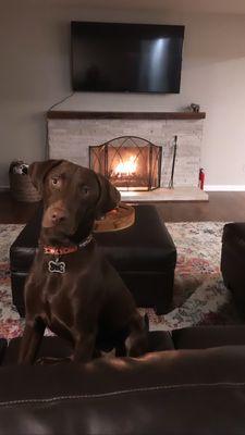 photo of Courtney W.