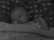 Photo of Cassi C.