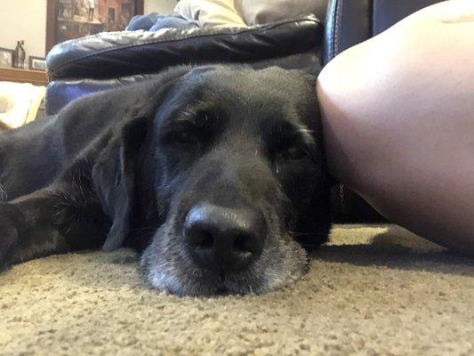 photo of Isabella P.