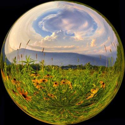 photo of Bernadette C.