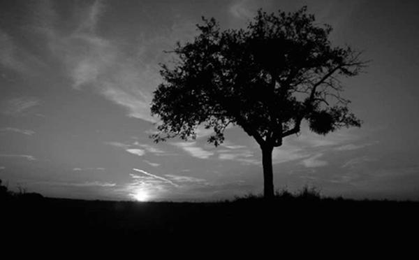 photo of Vladimir B.