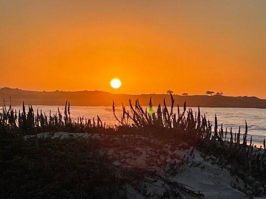 photo of elizabeth l.