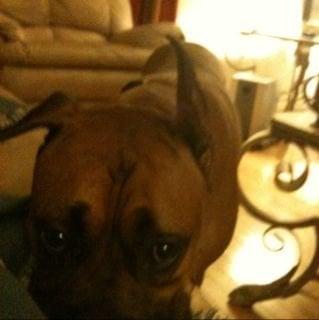 Photo of Jeremiah J.