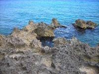 Photo of Danna C.