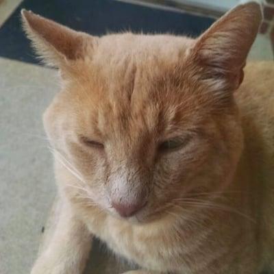 Photo of Timmy S.