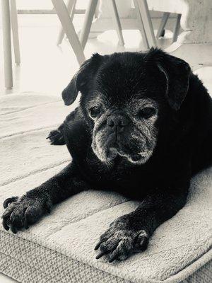 photo of Rachelle S.