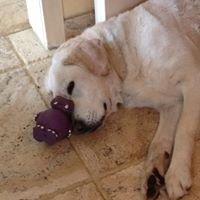 Photo of Kristinia M.