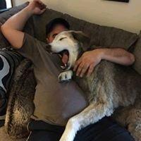 Photo of Nick D.