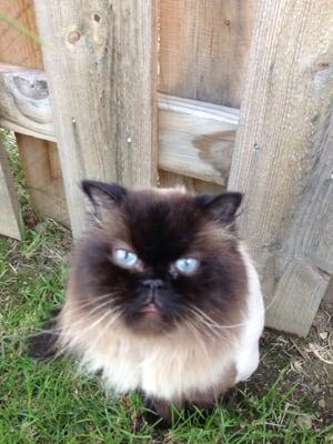 photo of Christian B.