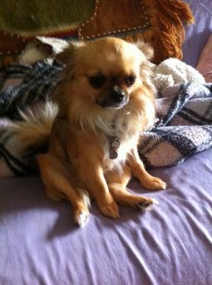 Photo of Tamra W.