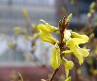 photo of Elizabeth S.