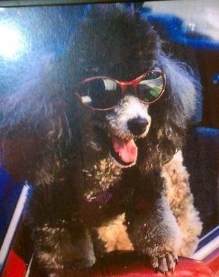 photo of De Loris D.