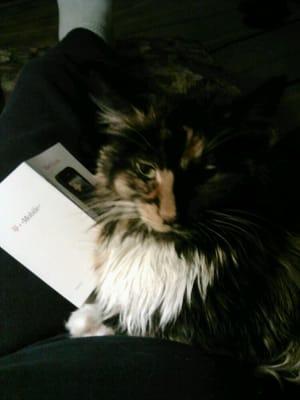 Photo of M j B.