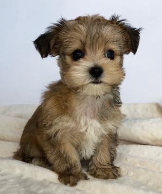 Photo of Penelope G.