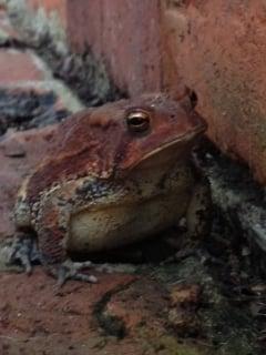 photo of Christina K.