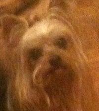 Photo of Sage S.