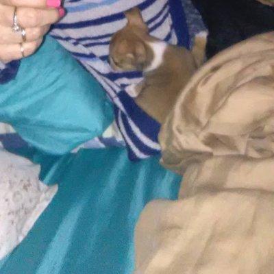 photo of VictoriaJohn C.