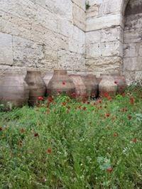 photo of Jody Lynne Y.