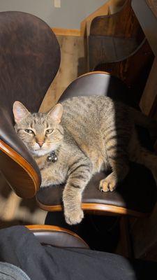 Photo of Cranberry C.