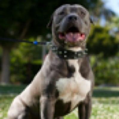 Photo of Meko S.
