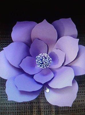 Photo of Sue M.