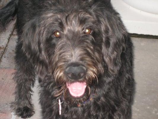 Photo of Molly S.
