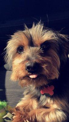 photo of Jacqueline S.