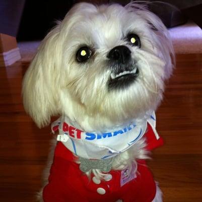 Photo of Suki S.